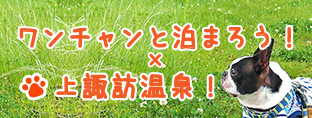 ワンチャンと泊まろう×上諏訪温泉